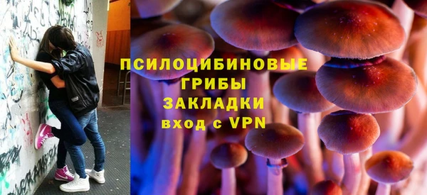 мдпв Магадан