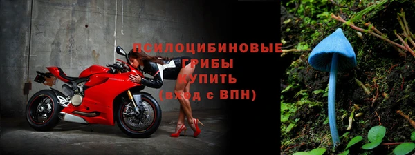 спиды Майский