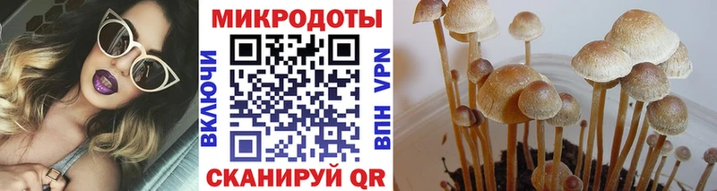 даркнет состав Тихорецк Псилоцибиновые грибы Cubensis mega ССЫЛКА